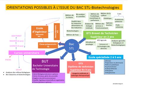 Que faire après un bac STL .